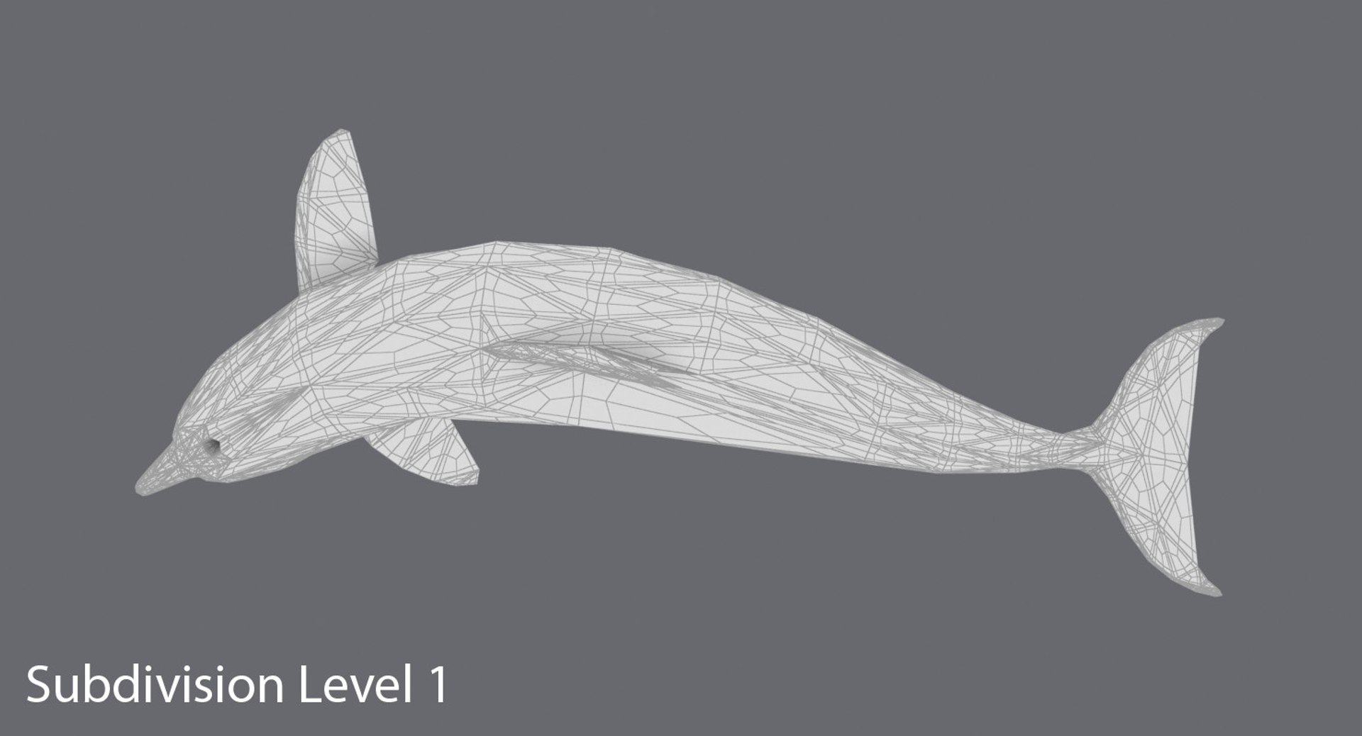 3D Model Dolphin---turning - TurboSquid 1237841
