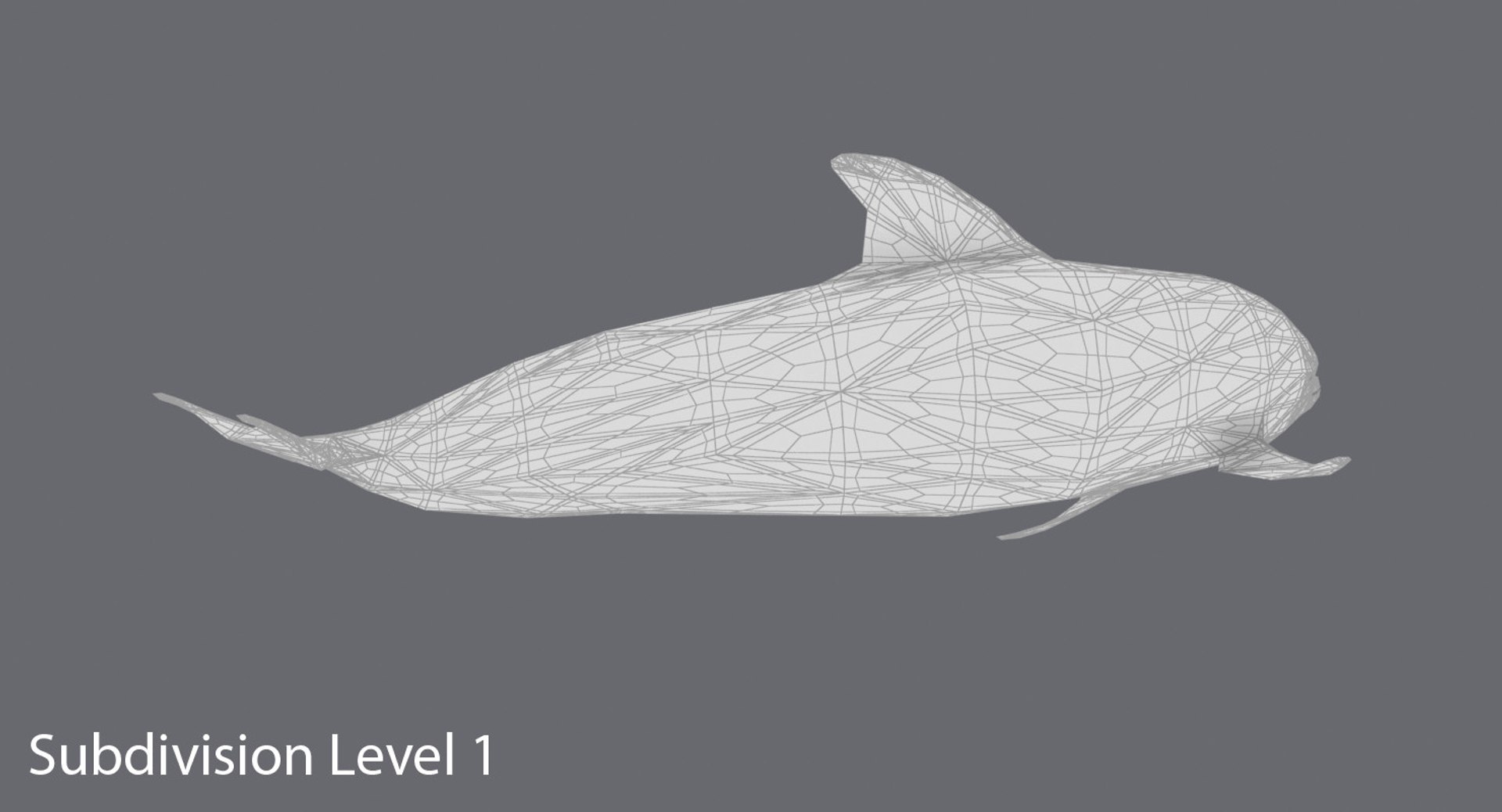 3D Model Dolphin---turning - TurboSquid 1237841