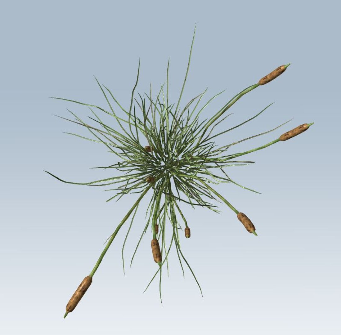 environment 3D https://p.turbosquid.com/ts-thumb/jG/MUkoOo/4UjFAC6b/9/jpg/1539039452/1920x1080/fit_q87/9a089147b17f5c0f32caae6d95ff0c8bd3554d8b/9.jpg