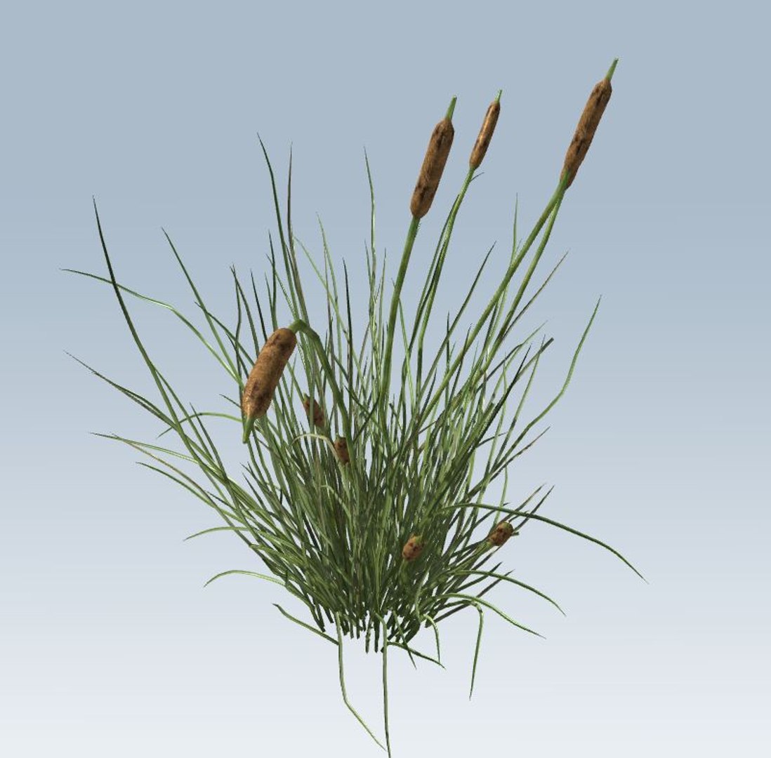 environment 3D https://p.turbosquid.com/ts-thumb/jG/MUkoOo/6QKH7XdS/8/jpg/1539039435/1920x1080/fit_q87/f155a6bd7a8a43a3f47f0ec79e97e3d557feb4a2/8.jpg