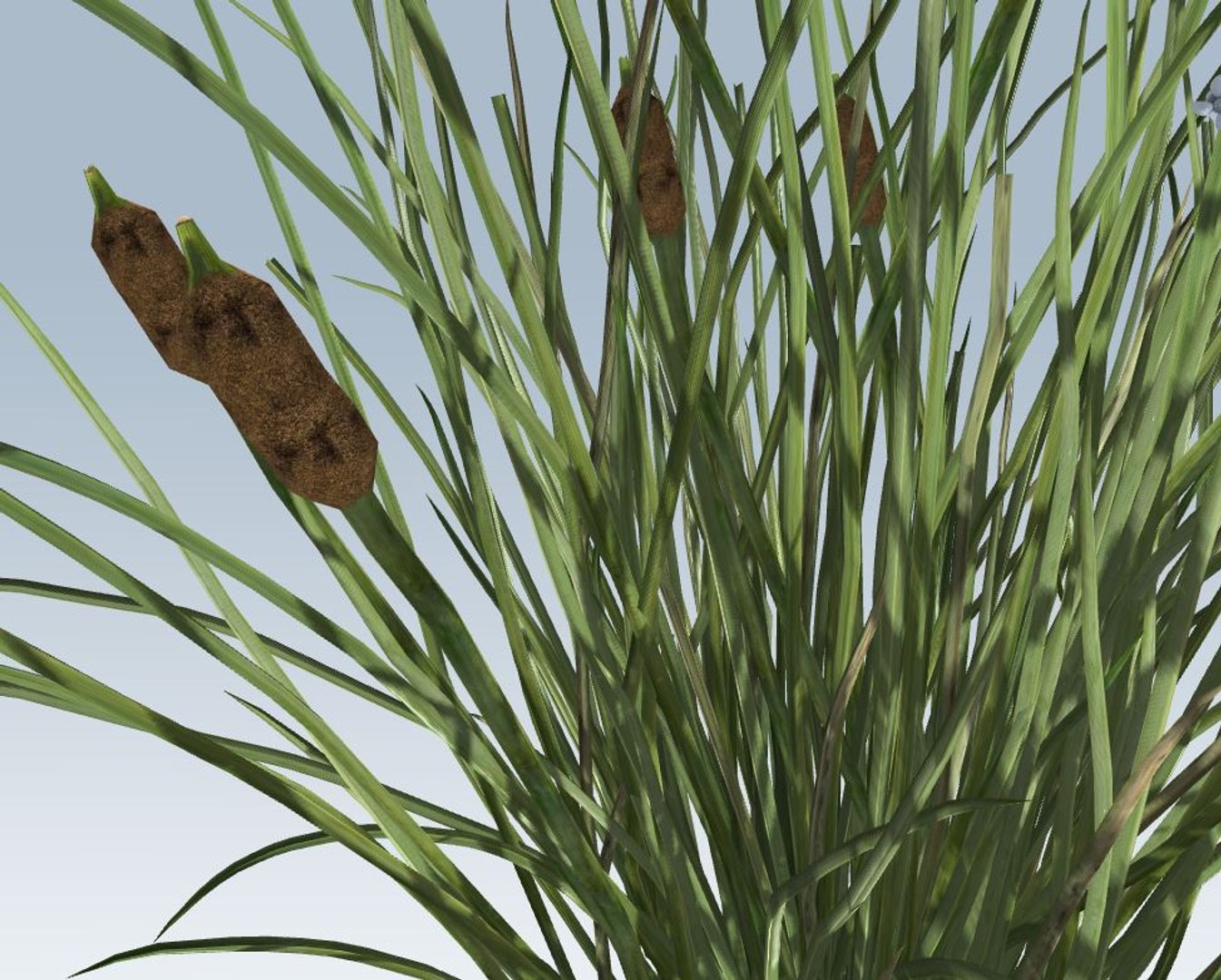 environment 3D https://p.turbosquid.com/ts-thumb/jG/MUkoOo/F8qzr3va/10/jpg/1539039473/1920x1080/fit_q87/ada8ae4c54f5c898b2576e6627da95406e28ada4/10.jpg