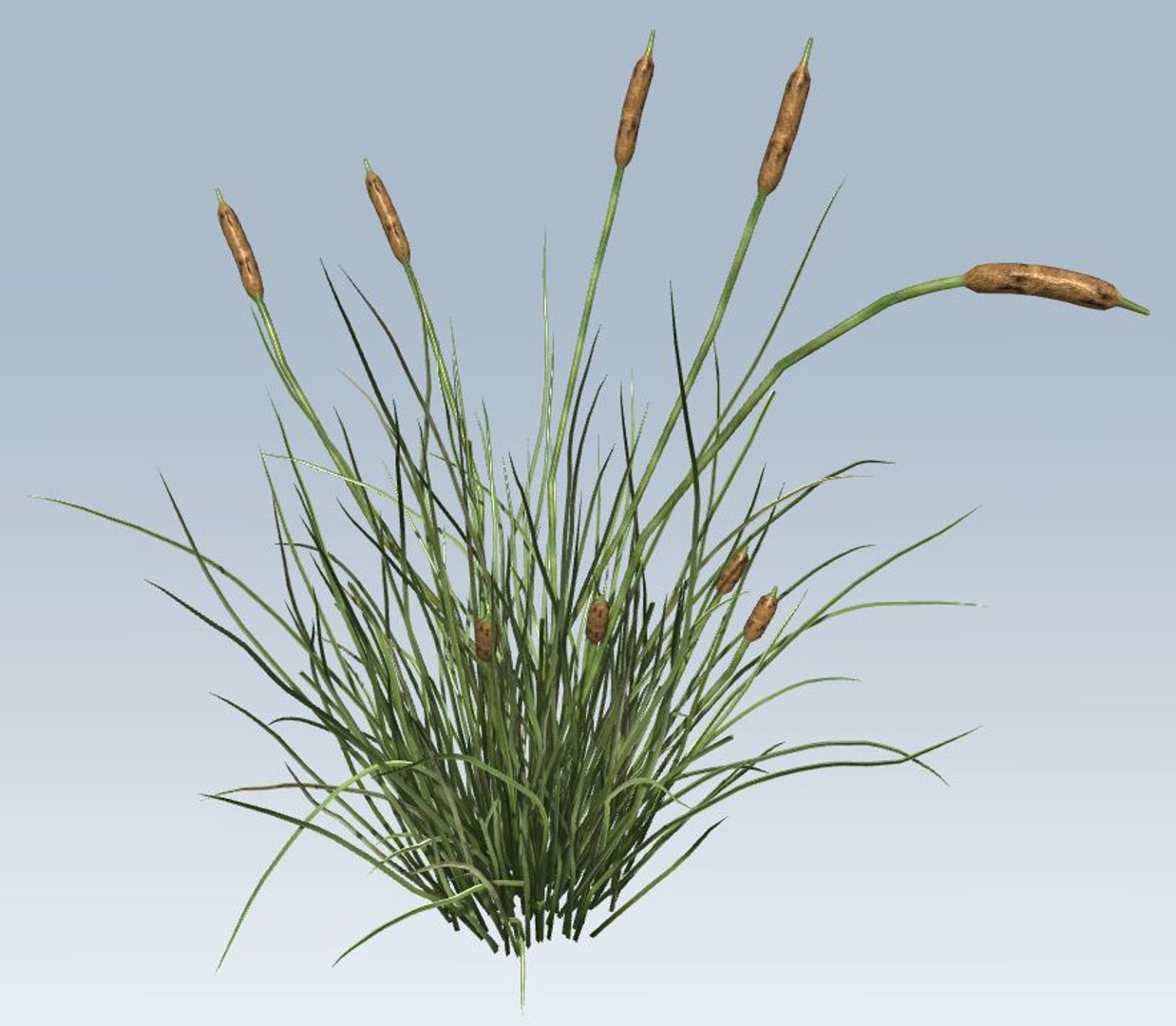 environment 3D https://p.turbosquid.com/ts-thumb/jG/MUkoOo/FzvSOGkz/6/jpg/1539039397/1920x1080/fit_q87/e6b80eb23d6c0f6eeff507990078f214c5f94936/6.jpg