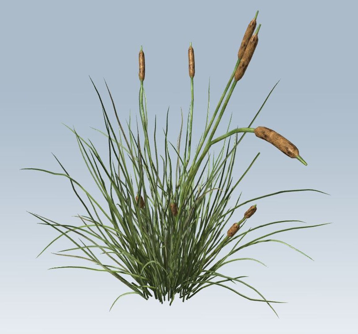 environment 3D https://p.turbosquid.com/ts-thumb/jG/MUkoOo/Mbu4UIlO/7/jpg/1539039421/1920x1080/fit_q87/e286caa1171d326a0dfd04a2197159c8ee2a7087/7.jpg