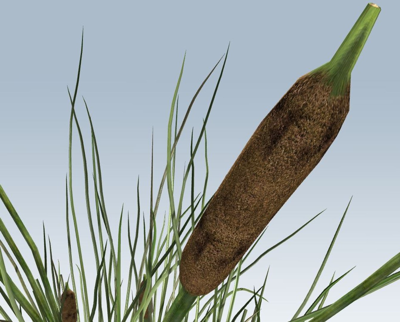 environment 3D https://p.turbosquid.com/ts-thumb/jG/MUkoOo/PWD94hxj/12/jpg/1539039504/1920x1080/fit_q87/f898dccec885afae6d9b445ee882fd83e5c4ceae/12.jpg