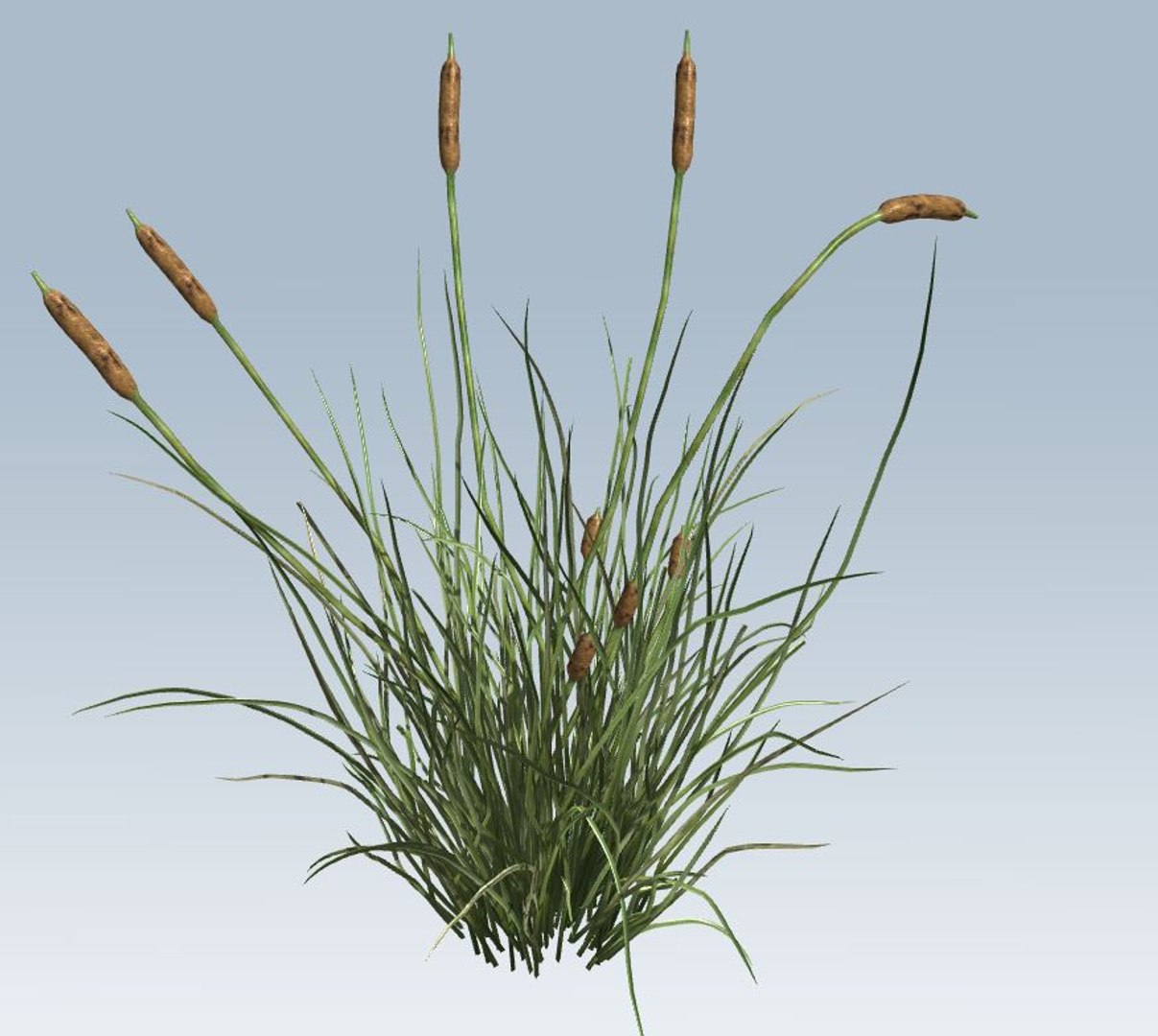 environment 3D https://p.turbosquid.com/ts-thumb/jG/MUkoOo/f4wD0yCp/5/jpg/1539039384/1920x1080/fit_q87/e8dc1ed7ea4ab572231764c5190b6ce0c518339f/5.jpg