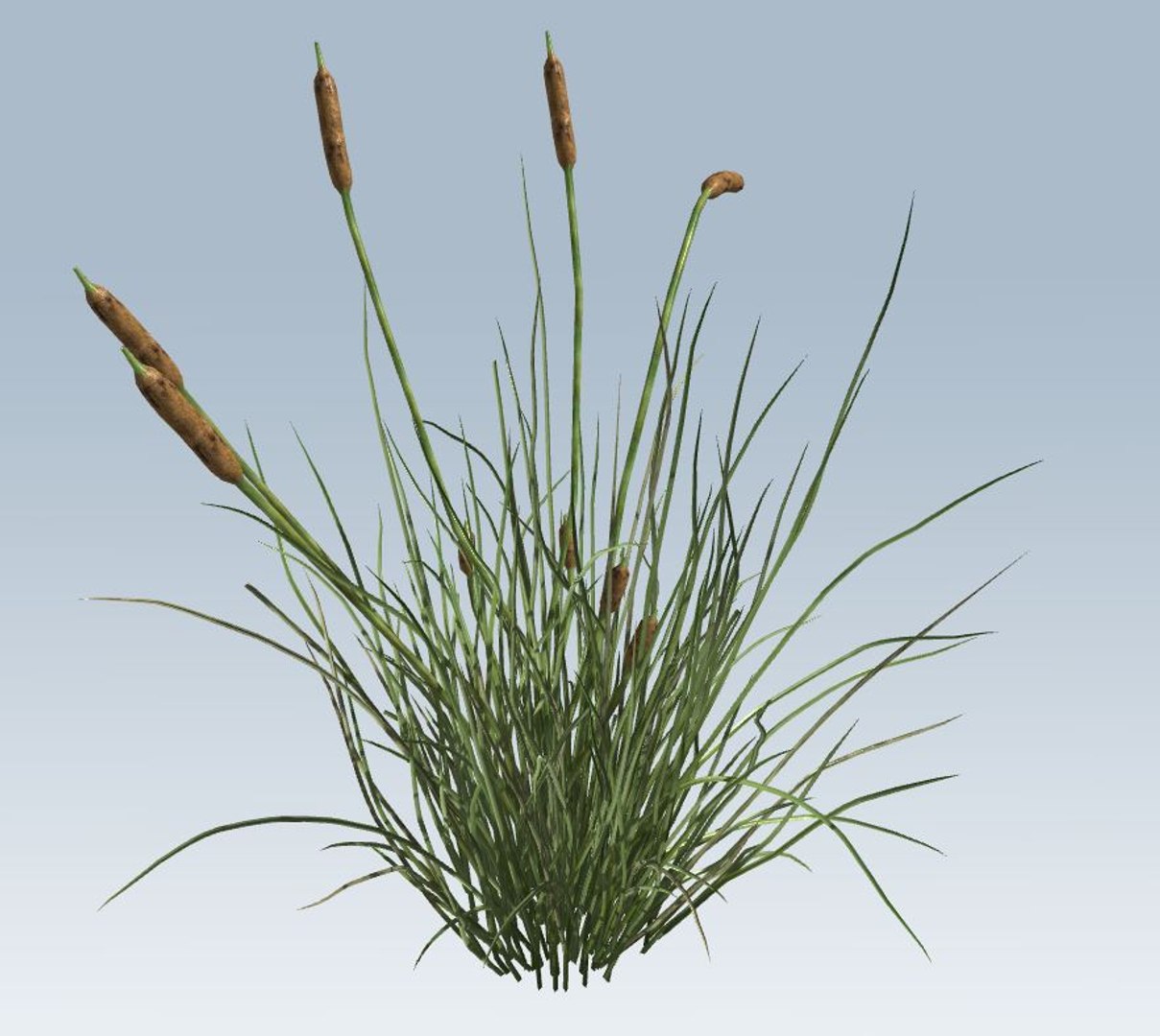 environment 3D https://p.turbosquid.com/ts-thumb/jG/MUkoOo/j0ZiQjra/4/jpg/1539039366/1920x1080/fit_q87/24a9a4cbf8c1f0856b74635d7e5d8ddc54e2c88f/4.jpg