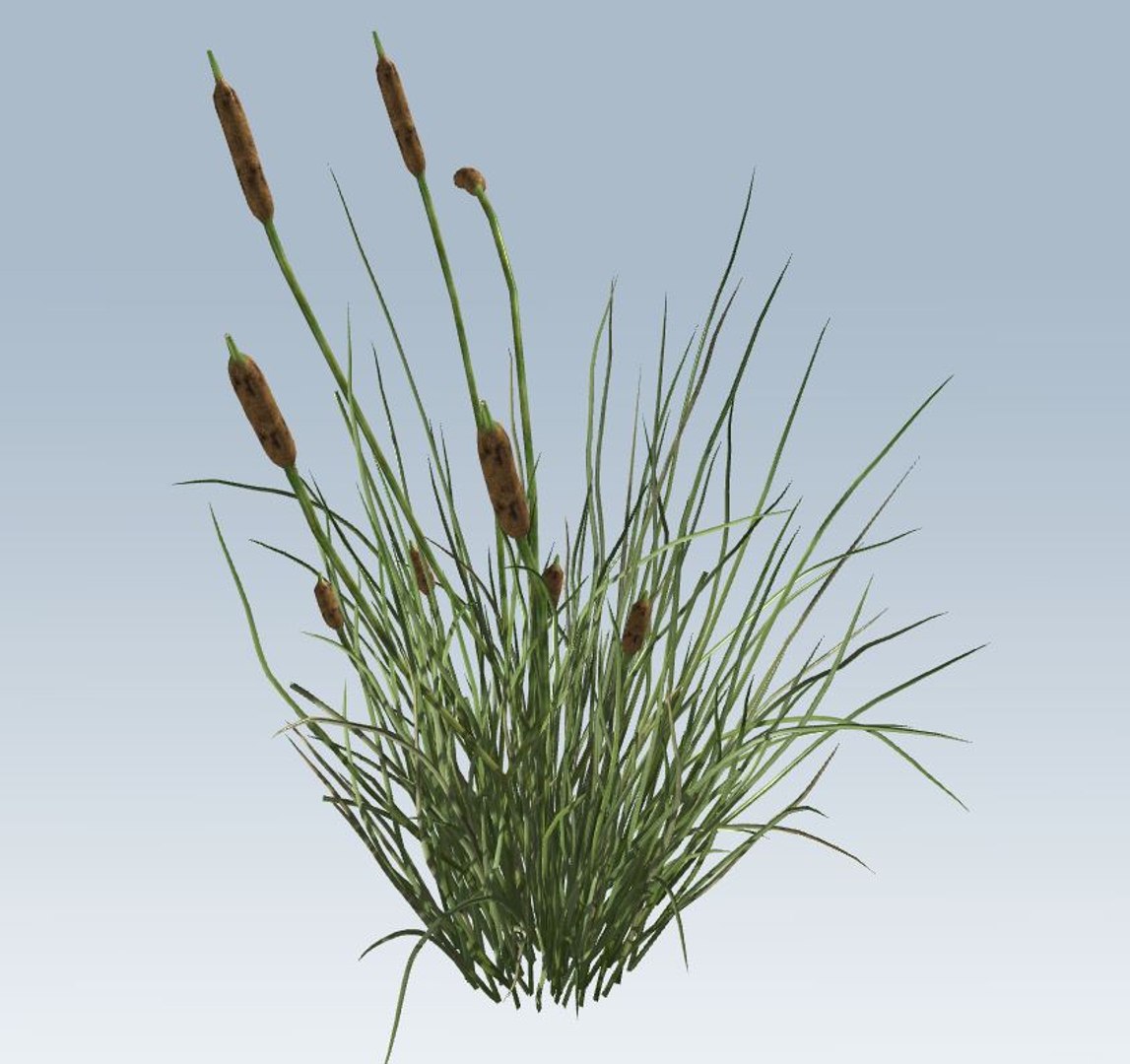environment 3D https://p.turbosquid.com/ts-thumb/jG/MUkoOo/uQ1WdlqH/3/jpg/1539039353/1920x1080/fit_q87/652a3e81abf5fc8601678ba363abc64283a8b869/3.jpg