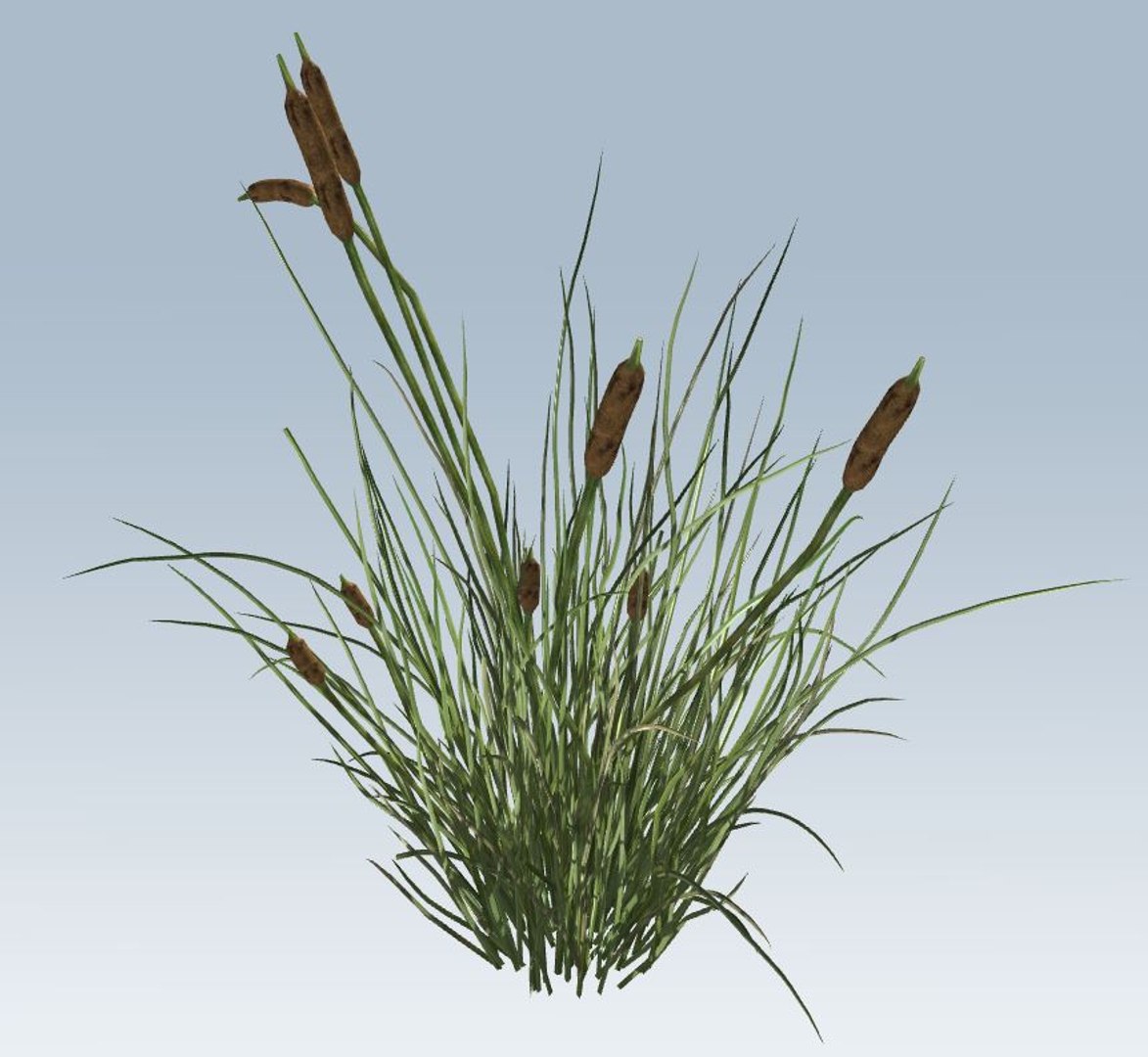 environment 3D https://p.turbosquid.com/ts-thumb/jG/MUkoOo/vJ4EDf7h/2/jpg/1539039335/1920x1080/fit_q87/20335cc9e7dc80d6e992443def8c024e2187fdba/2.jpg