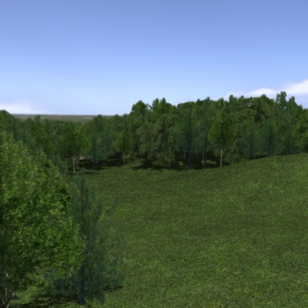 forest lined grassy terrain max https://p.turbosquid.com/ts-thumb/jG/QX0Ba4/INCaxWrx/forest_02/jpg/1263878932/1920x1080/fit_q87/162d197b80ea6f2fdd31d991c7497734ebed5297/forest_02.jpg