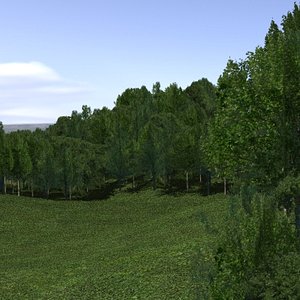 Forest lined grassy terrain