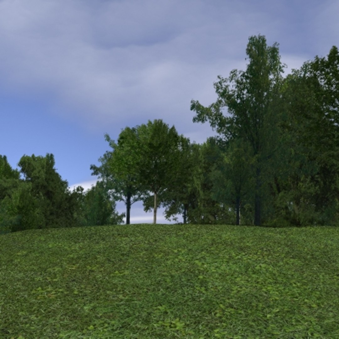 forest lined grassy terrain max https://p.turbosquid.com/ts-thumb/jG/QX0Ba4/ooIwpQz0/forest_04/jpg/1263879224/1920x1080/fit_q87/de09fcc1131df7b9452af6ee879d8c9800f6d3ad/forest_04.jpg