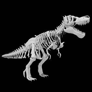 3D model Rigged Trex skeleton