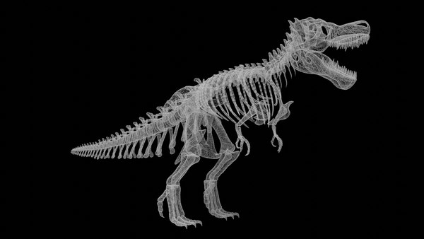 3D model Rigged Trex skeleton - TurboSquid 1835531