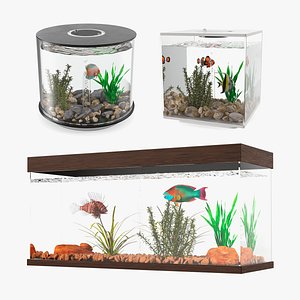Fish Tanks Collection