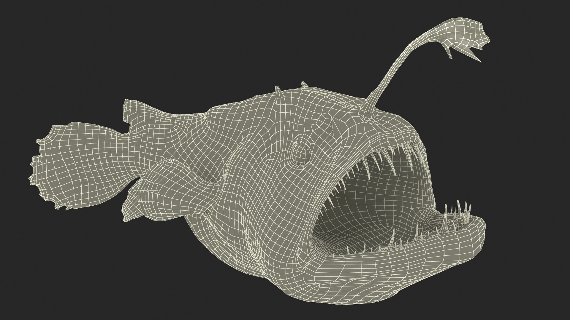 Anglerfish Rigged For Maya 3D Model - TurboSquid 2250629