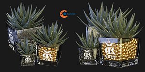 Collection plant vol 89 - blender model