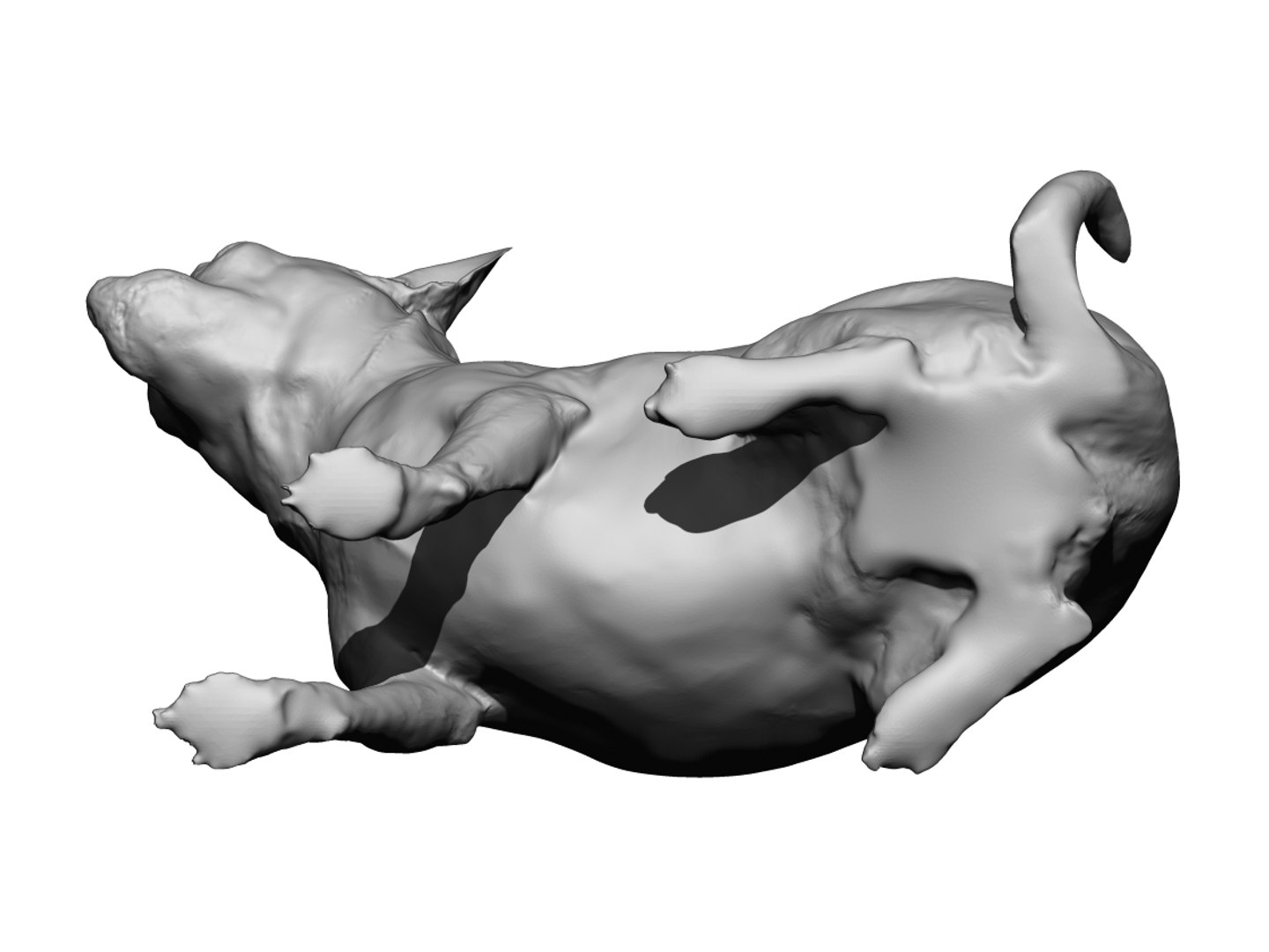 Dog scanned photogrammetry model - TurboSquid 1349248