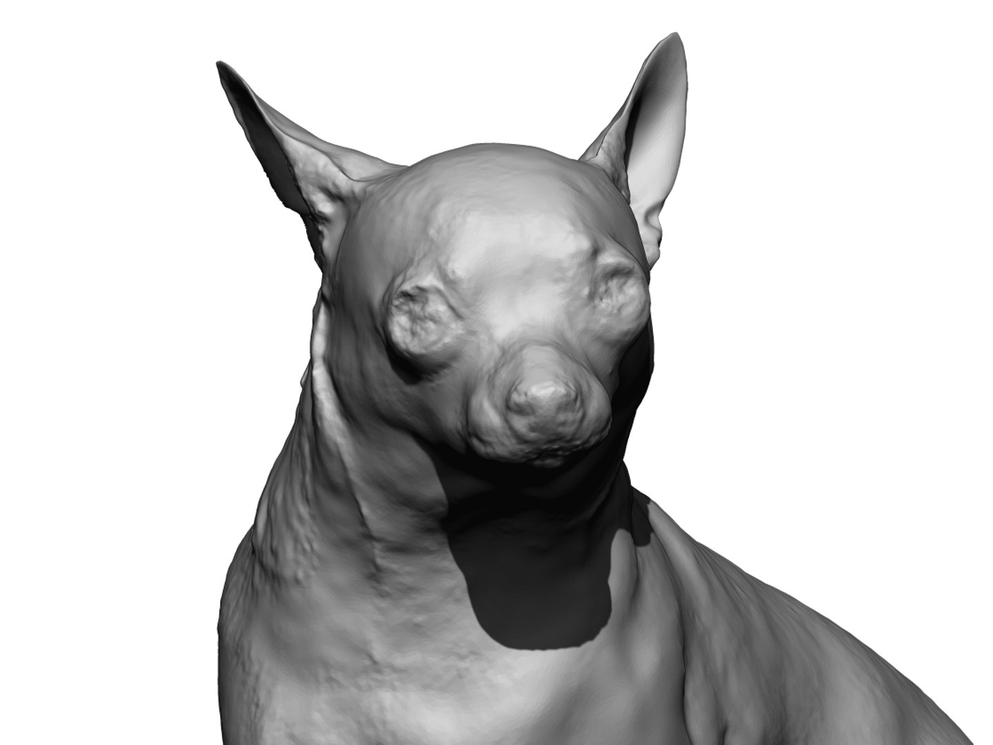 Dog scanned photogrammetry model - TurboSquid 1349248