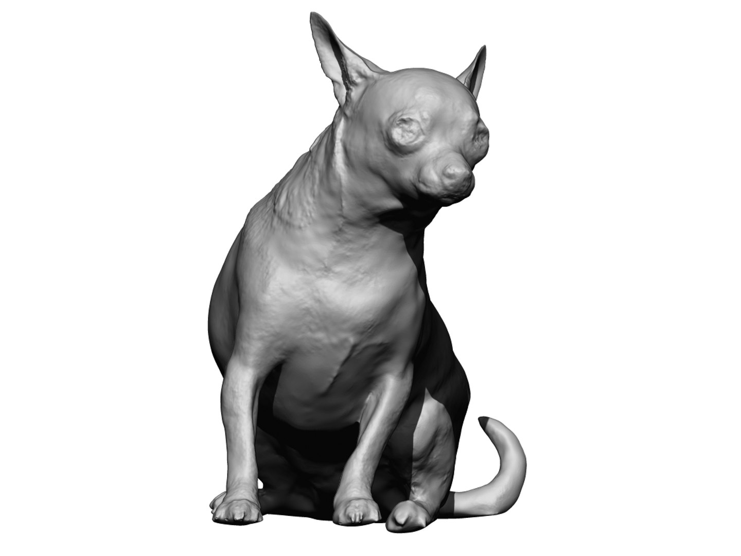 Dog scanned photogrammetry model - TurboSquid 1349248