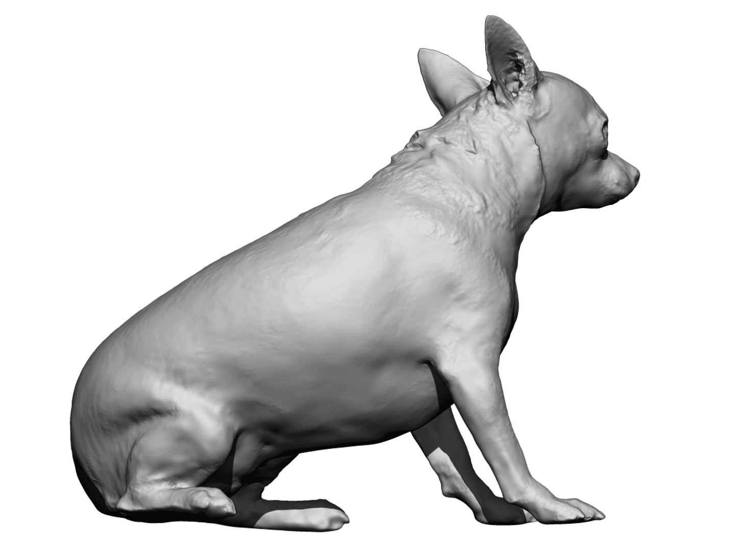 Dog scanned photogrammetry model - TurboSquid 1349248