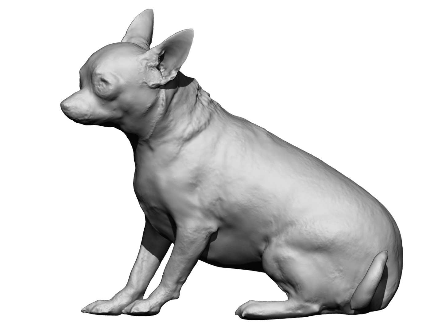 Dog scanned photogrammetry model - TurboSquid 1349248