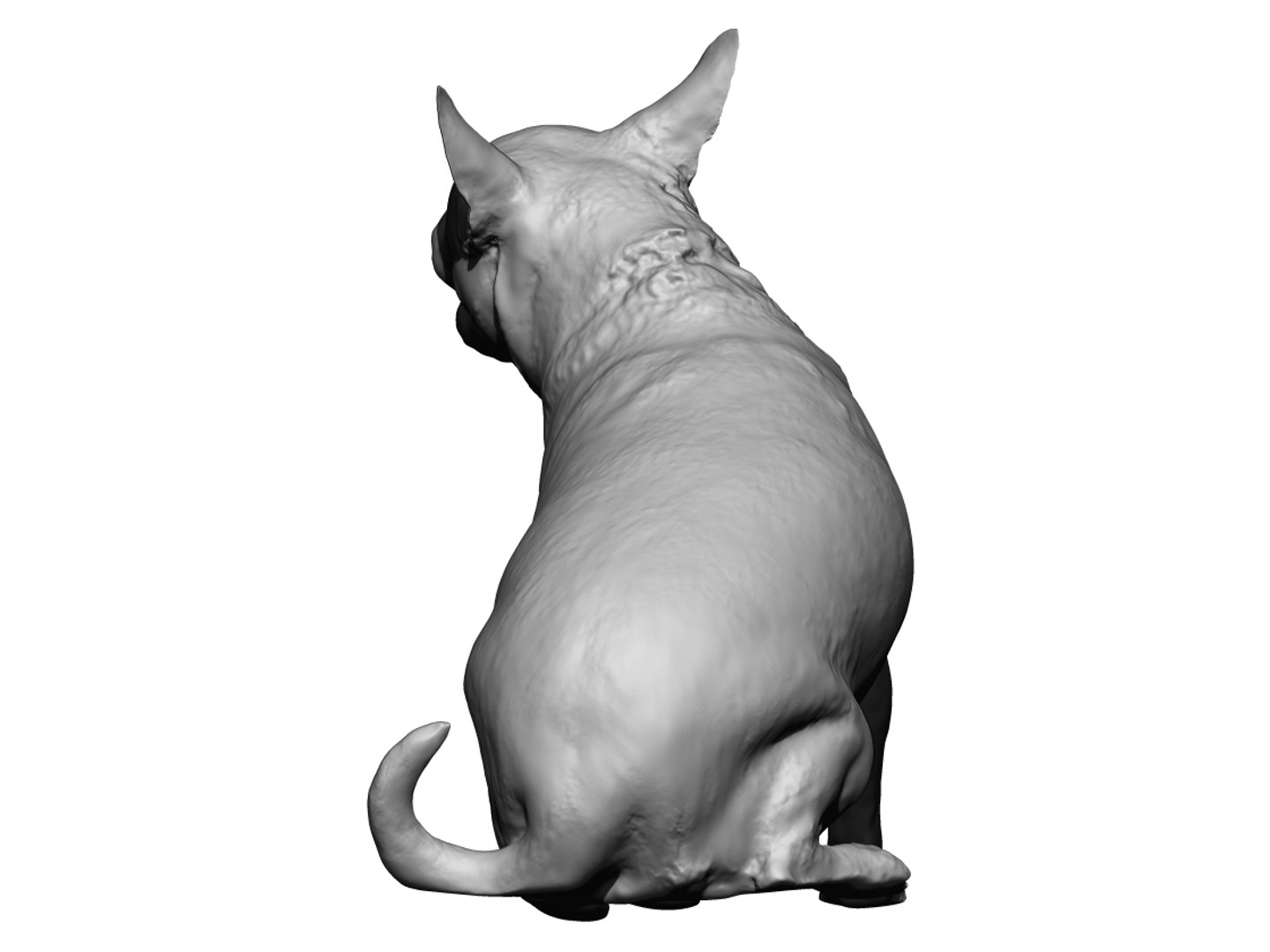 Dog scanned photogrammetry model - TurboSquid 1349248