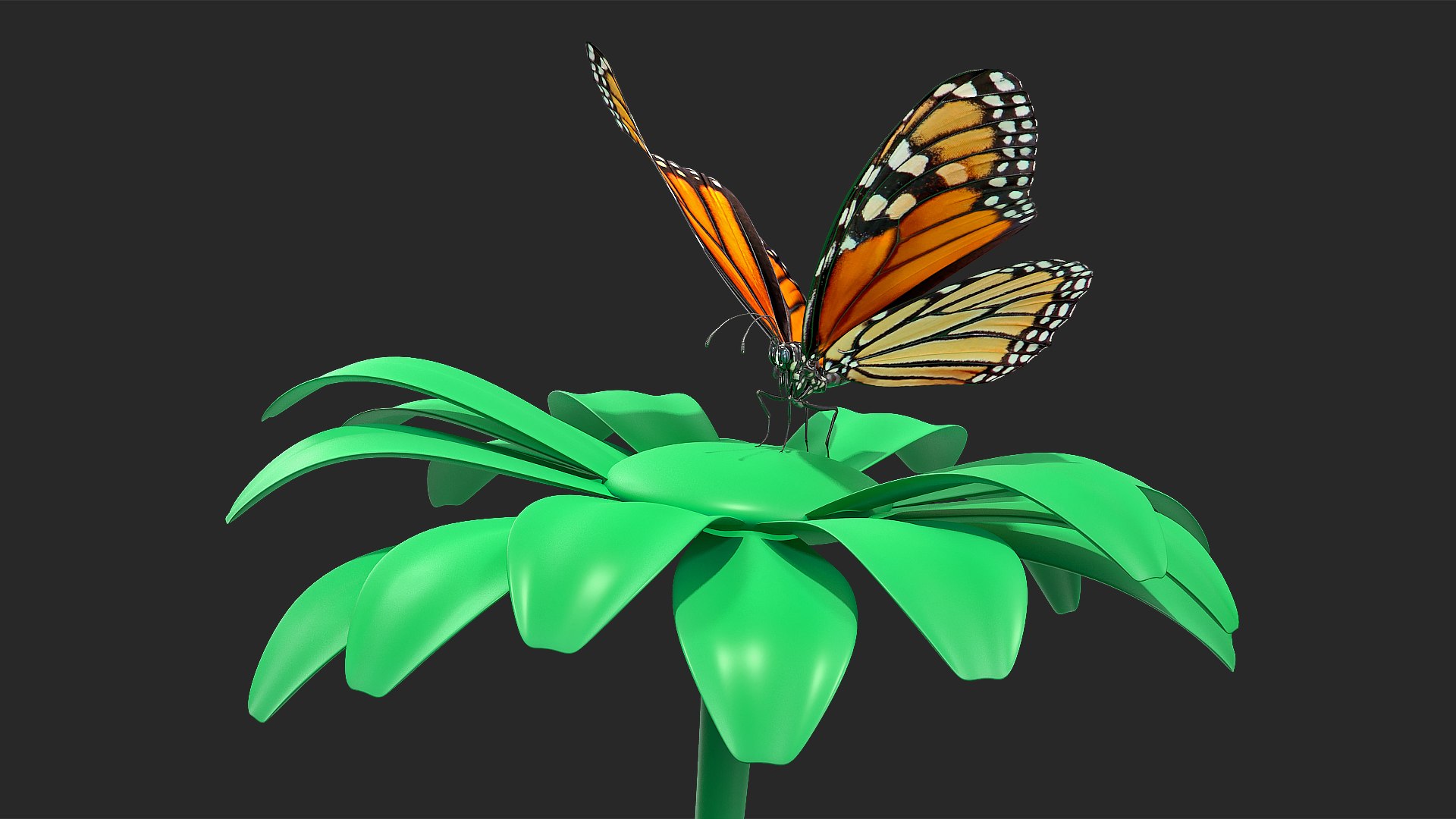 3D monarch butterfly collecting flying insect model https://p.turbosquid.com/ts-thumb/jG/r5SN7W/REKa9RlH/animatedmonarchbutterflycollectionc4dmodel004/jpg/1593177172/1920x1080/fit_q87/acfc0ee10363de6741d73e5561df034a805d8a65/animatedmonarchbutterflycollectionc4dmodel004.jpg