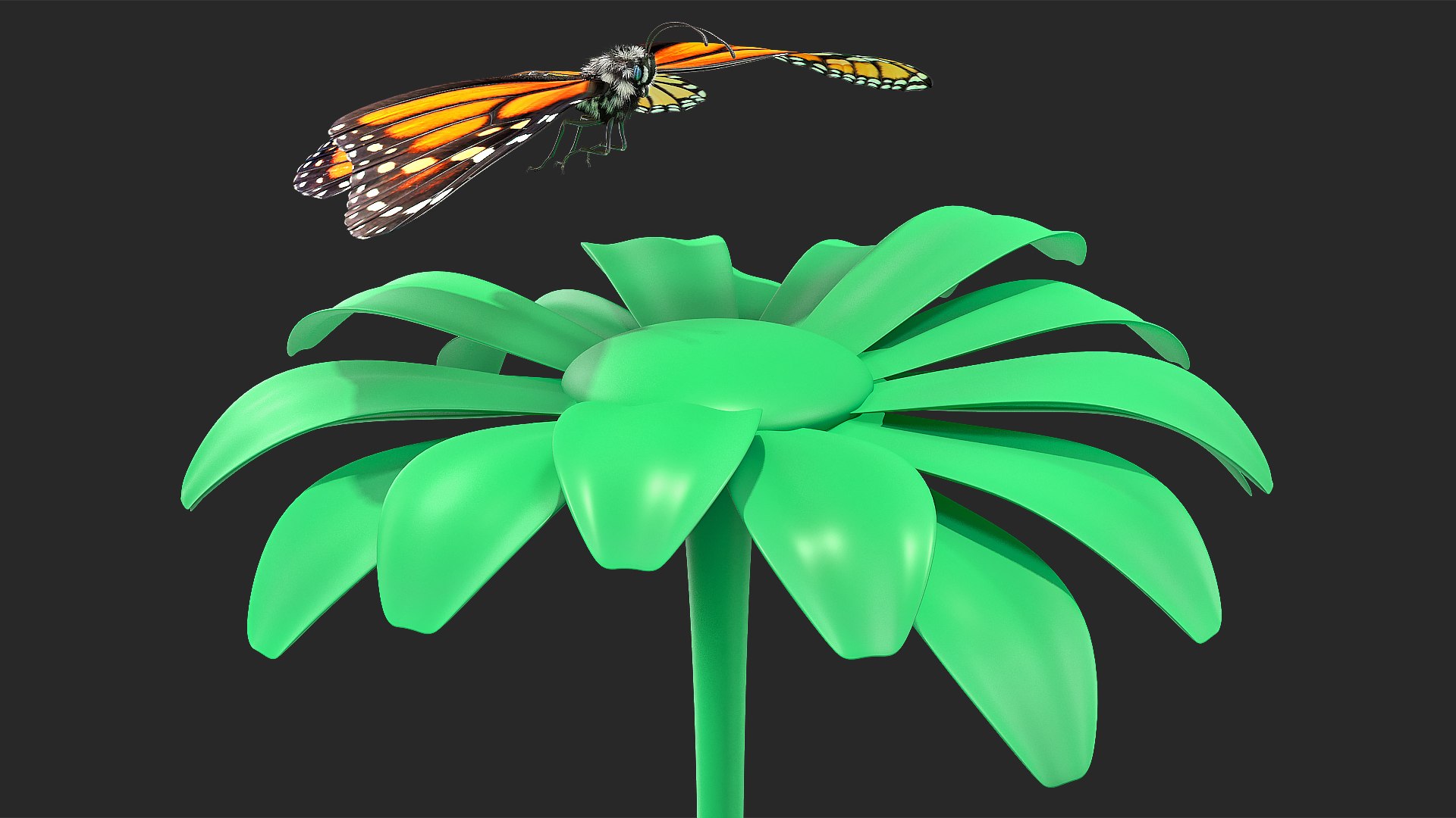 3D monarch butterfly collecting flying insect model https://p.turbosquid.com/ts-thumb/jG/r5SN7W/bU26OHKa/animatedmonarchbutterflycollectionc4dmodel010/jpg/1593177172/1920x1080/fit_q87/c24e2c3dc1395789aea7dc18f37a5f5f49bdc2e7/animatedmonarchbutterflycollectionc4dmodel010.jpg