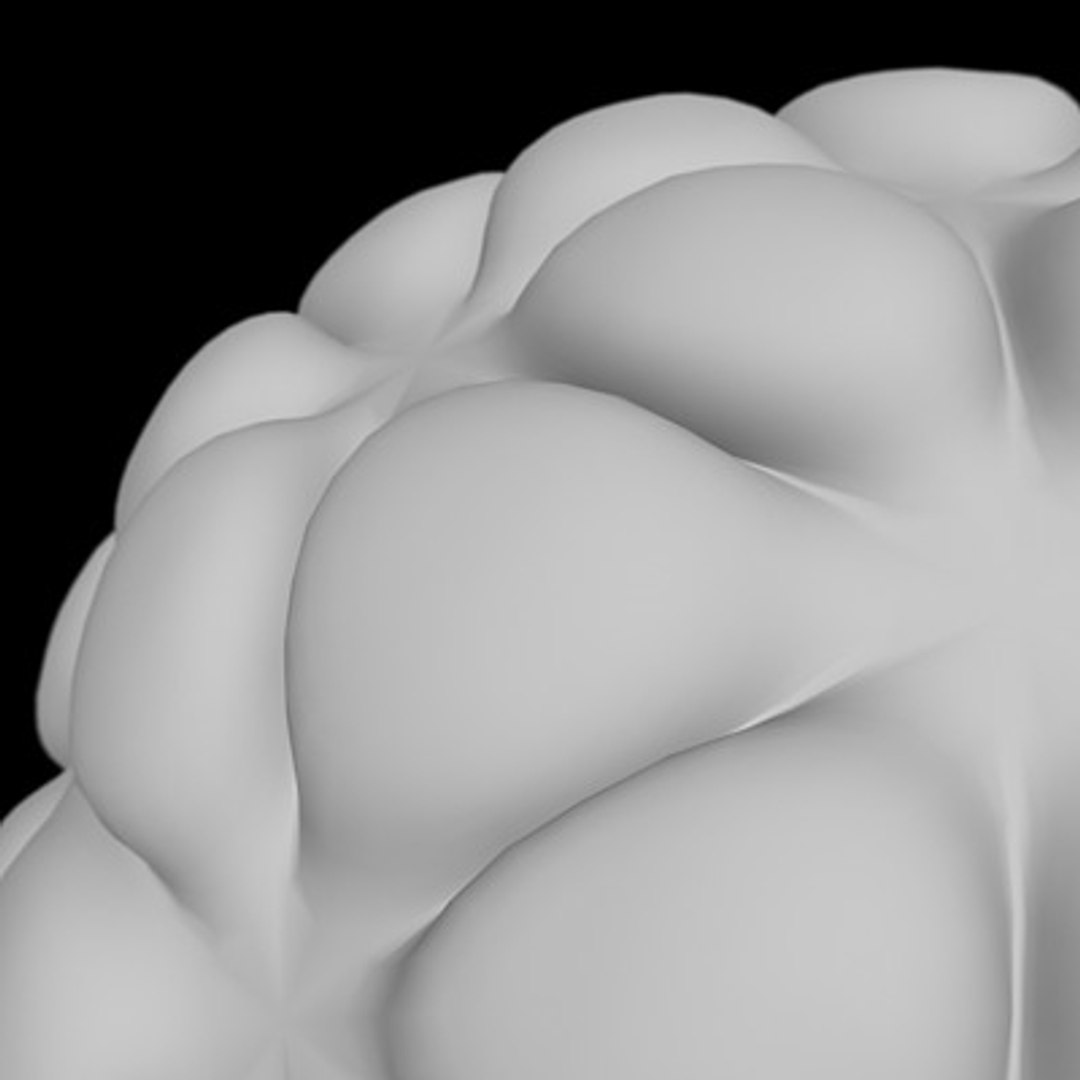 3dsmax concept microscopic cell 1 https://p.turbosquid.com/ts-thumb/jG/tq1YB4/qcp7wNzI/concept_cell_1_2_untextured/jpg/1263599851/1920x1080/fit_q87/050470ffaf121a77620bbf031105ae02ada80553/concept_cell_1_2_untextured.jpg