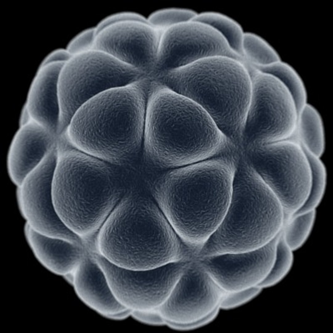 3dsmax concept microscopic cell 1 https://p.turbosquid.com/ts-thumb/jG/tq1YB4/y2rAW40a/concept_cell_1_1/jpg/1263599851/1920x1080/fit_q87/fb02e6bf5806db40e997487140b8bcea02e39a81/concept_cell_1_1.jpg