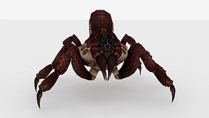 Spider 3D model