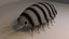 Pill Bug (Roly Poly)