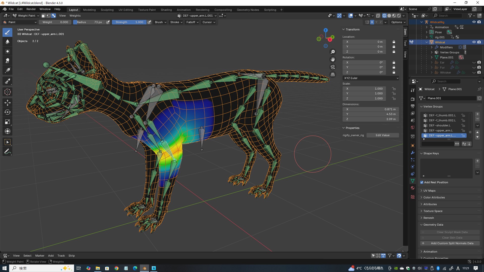 Wildcat Model - TurboSquid 2361469