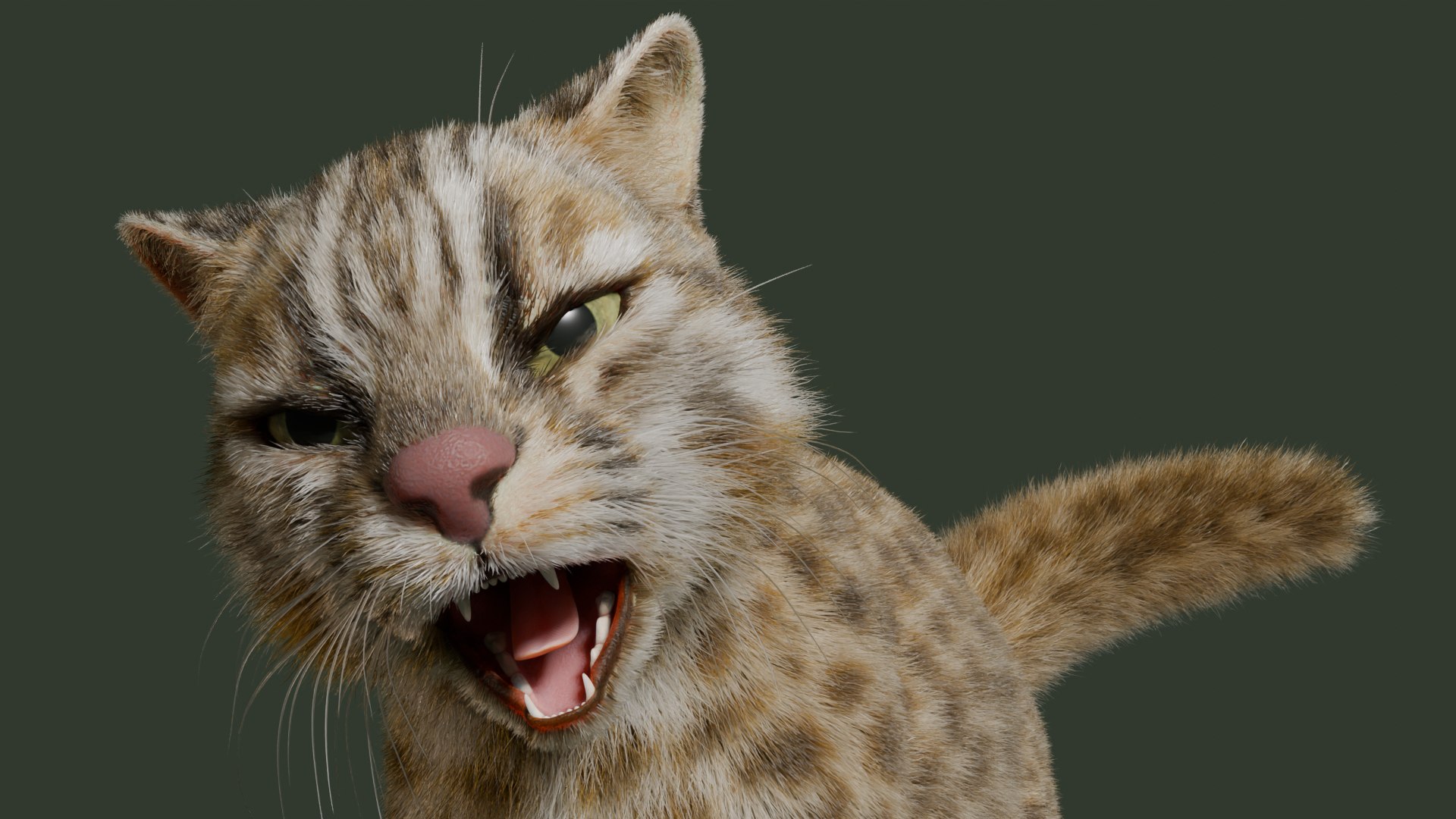 Wildcat Model - TurboSquid 2361469