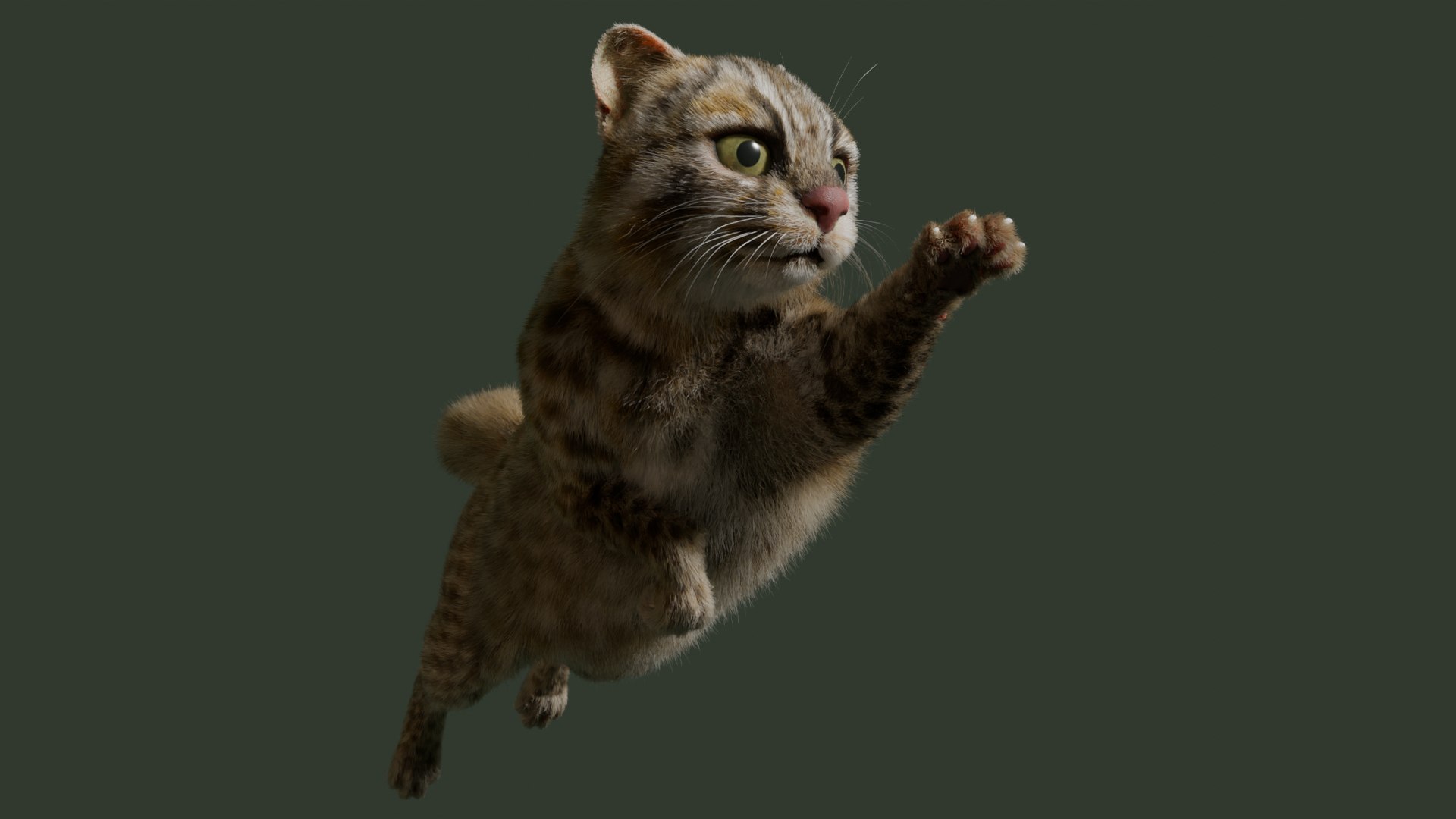 Wildcat Model - TurboSquid 2361469