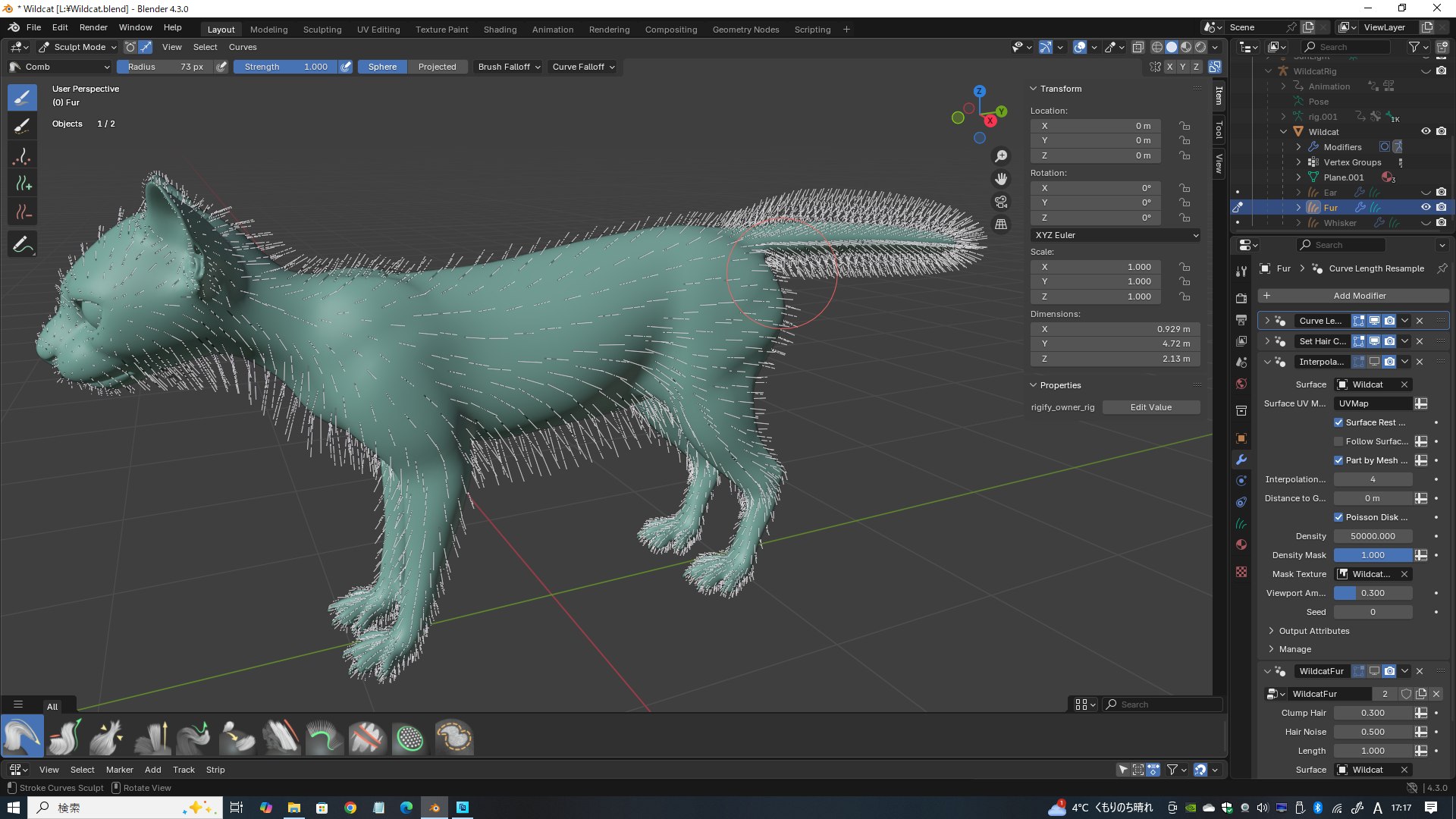 Wildcat Model - TurboSquid 2361469