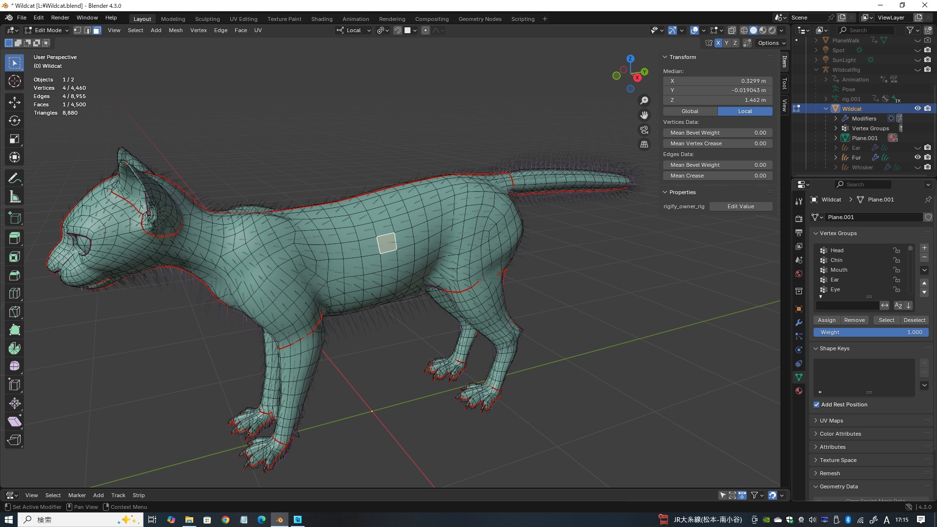 Wildcat Model - TurboSquid 2361469