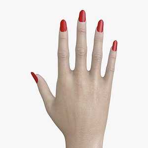 HND-014 Rigged Woman Hand model