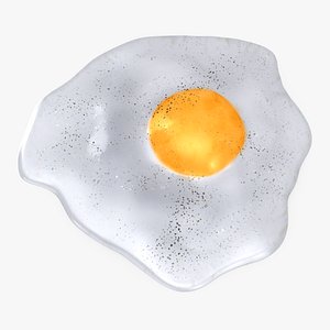 Fried Egg with Salt and Pepper 3D model