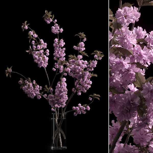 vase branches japanese cherry 3D model