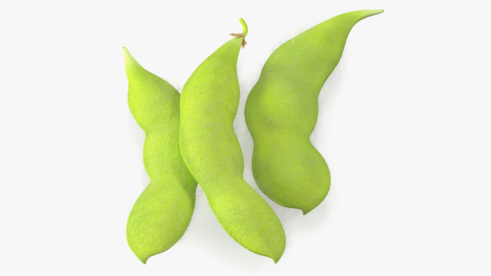 Edamame Green Soybeans Fur 3D model preview