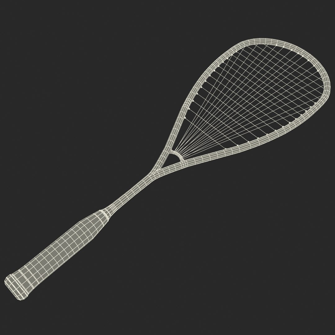 3d Squash Racquet