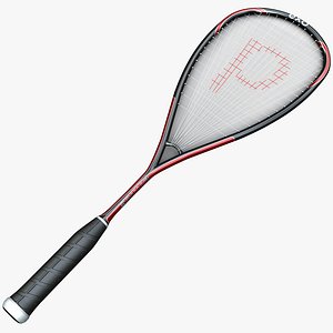 3d squash racquet