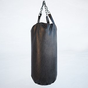 max punching bag