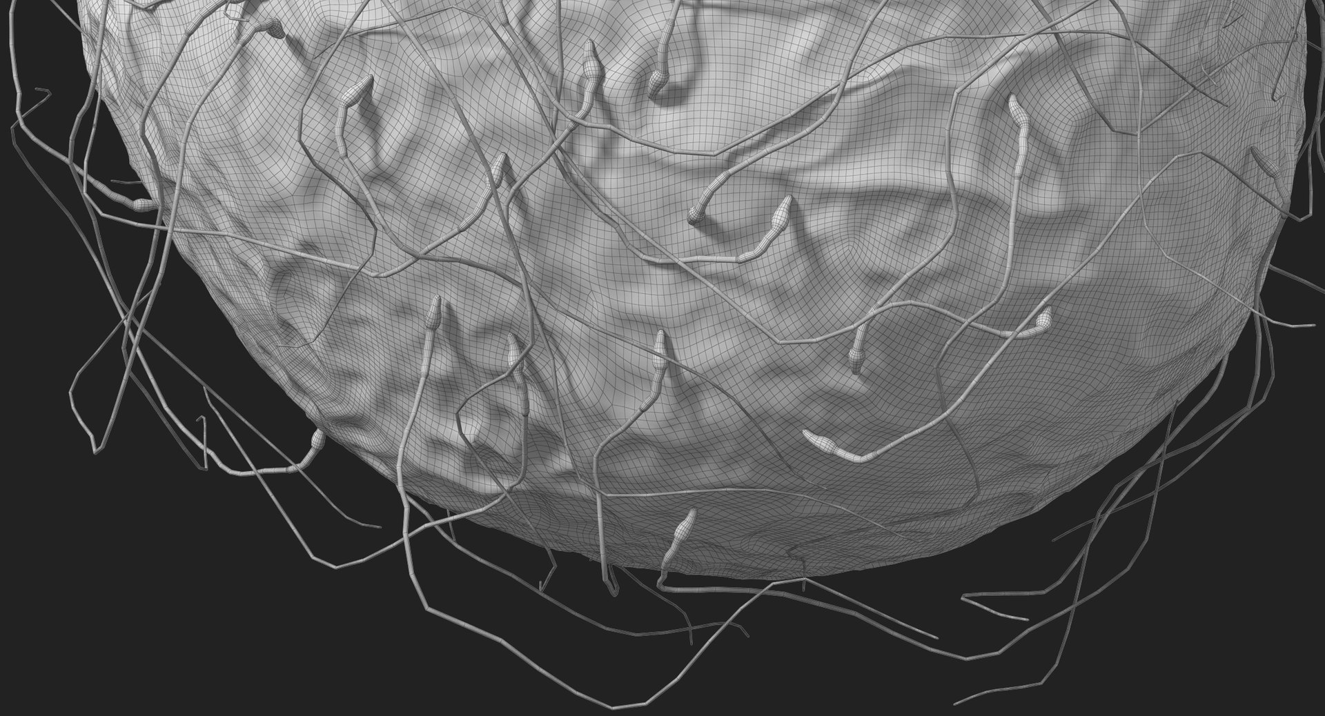 3D fertilization https://p.turbosquid.com/ts-thumb/jH/MjWq09/0Qx86u1v/subdivision_level_00006/jpg/1553673133/1920x1080/fit_q87/4a40618b2f49b740af9bf2fdcd761caadaf7f9e8/subdivision_level_00006.jpg