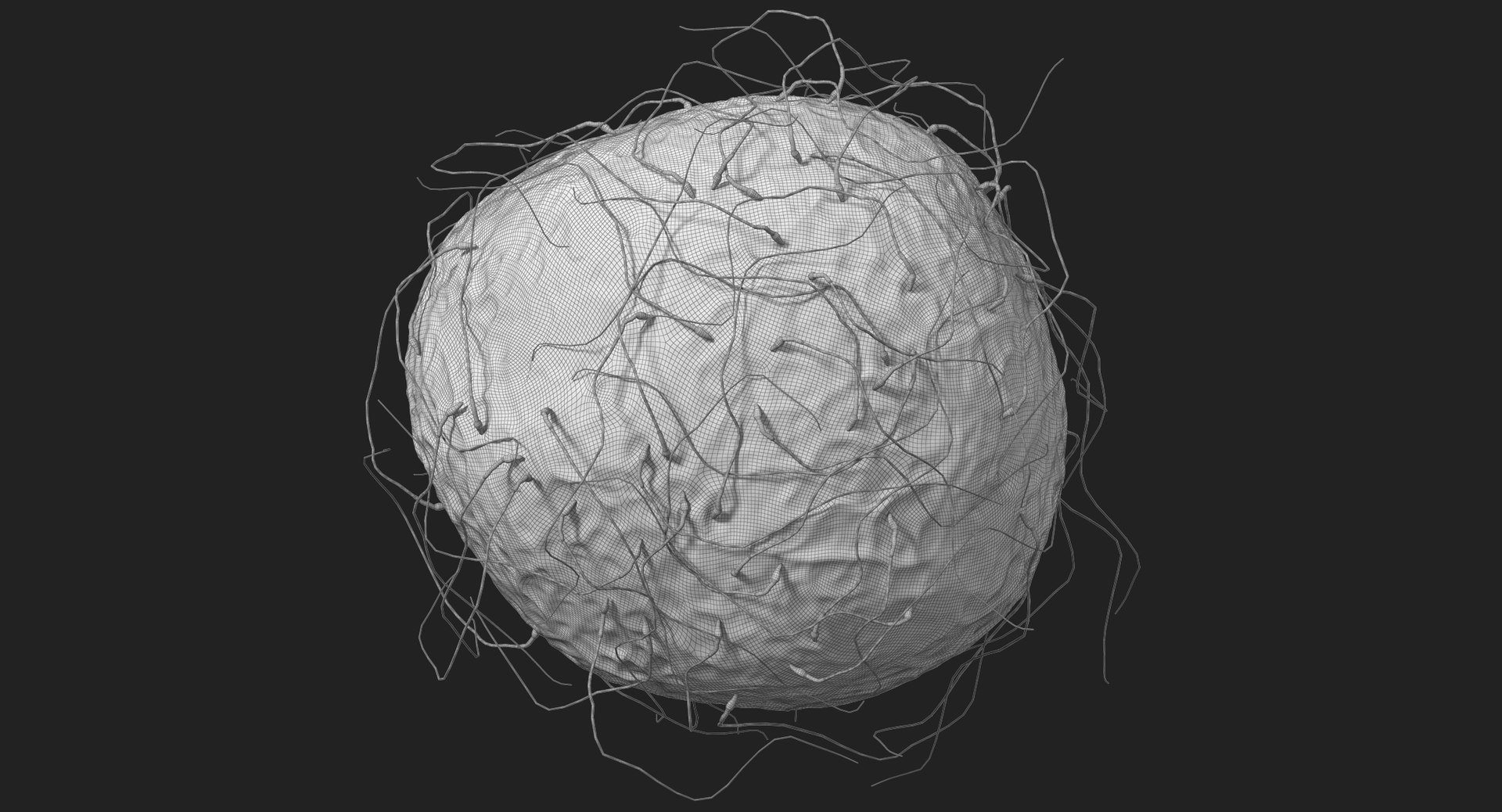 3D fertilization https://p.turbosquid.com/ts-thumb/jH/MjWq09/MAGQgRFO/subdivision_level_00009/jpg/1553673133/1920x1080/fit_q87/62bd81ad52980d5dfe7ef741ce68a499efc25d9a/subdivision_level_00009.jpg