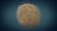 Fertilization