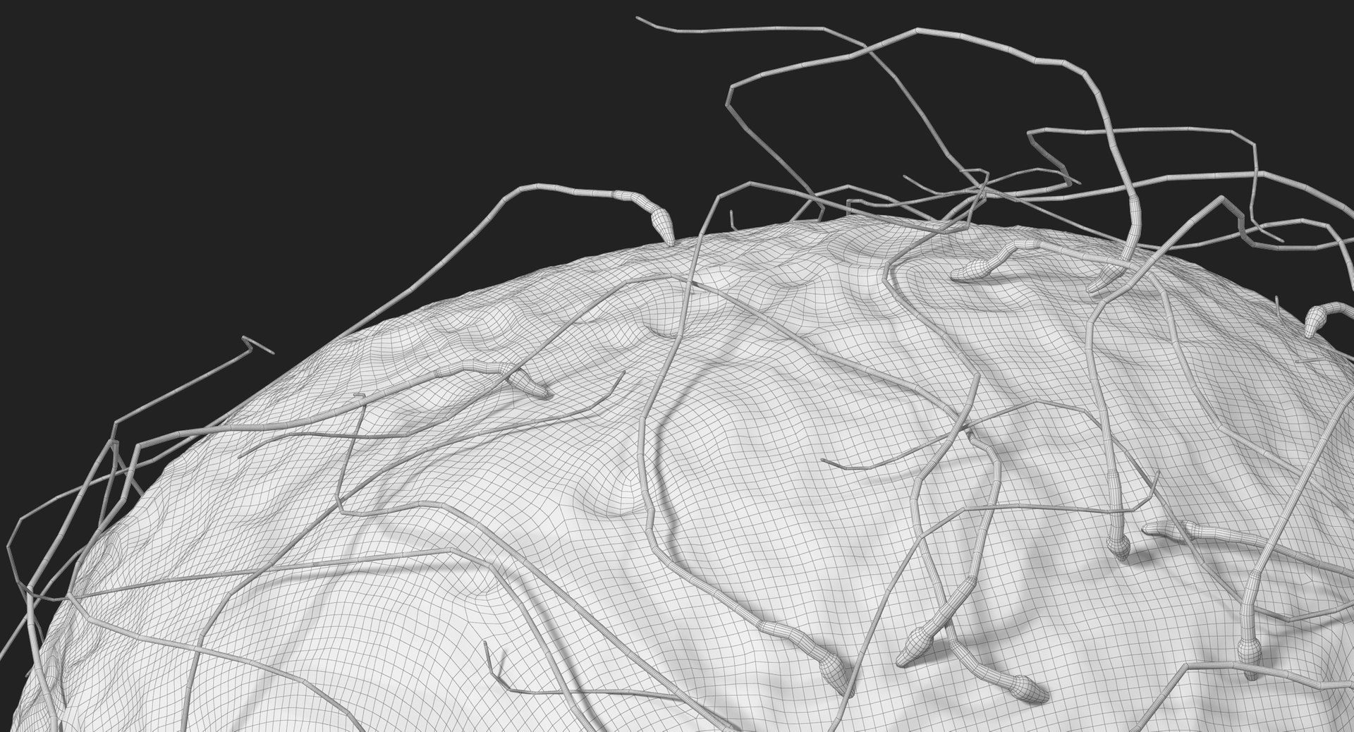 3D fertilization https://p.turbosquid.com/ts-thumb/jH/MjWq09/WFuZUJLu/subdivision_level_00004/jpg/1553673133/1920x1080/fit_q87/f7f79297191bd709bcec3b4603f443fe27e93726/subdivision_level_00004.jpg