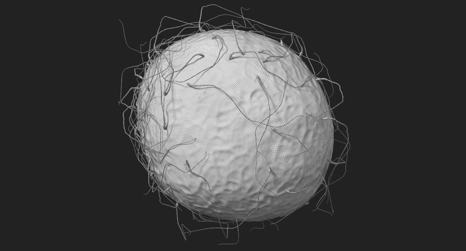 3D fertilization https://p.turbosquid.com/ts-thumb/jH/MjWq09/hcwTEYb6/subdivision_level_00012/jpg/1553673133/1920x1080/fit_q87/286dd95b094cf186cc1043e0063d8c97b6d65003/subdivision_level_00012.jpg