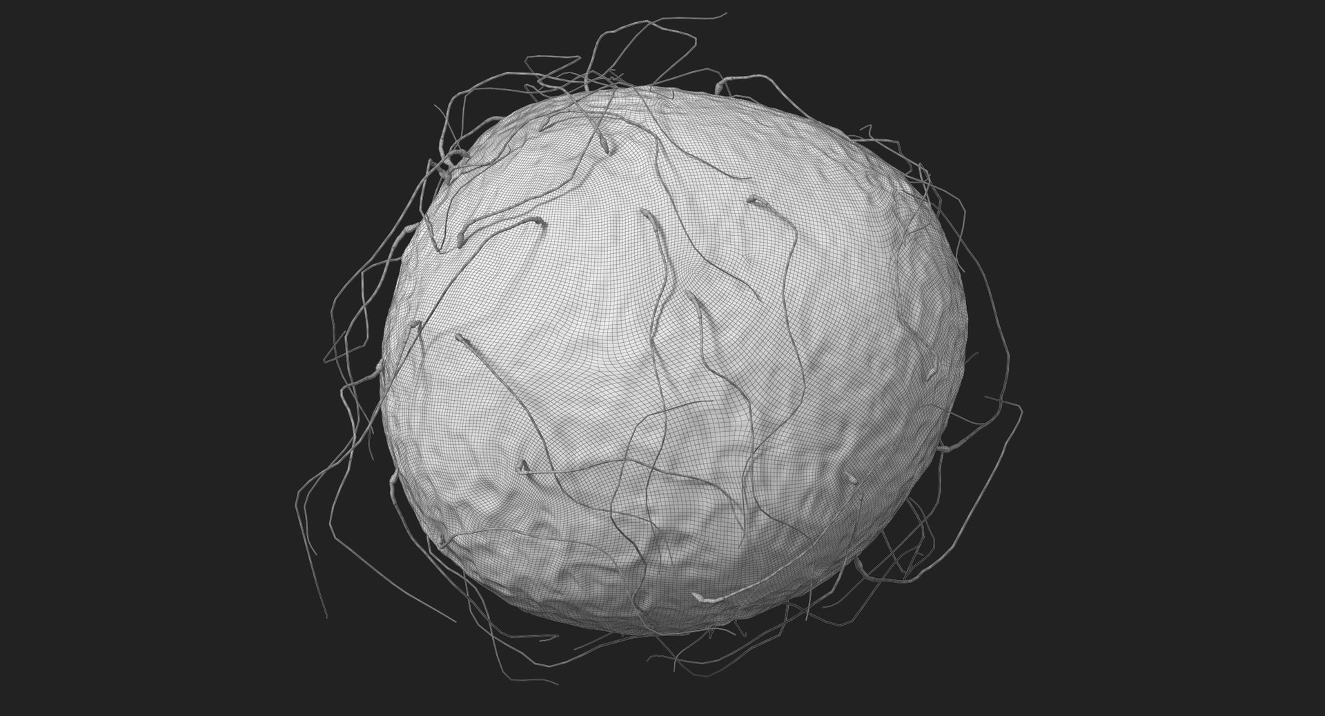 3D fertilization https://p.turbosquid.com/ts-thumb/jH/MjWq09/z9anmY52/subdivision_level_00011/jpg/1553673133/1920x1080/fit_q87/e02b94a8ee52239bde4c481ef448606ed50b1cb5/subdivision_level_00011.jpg